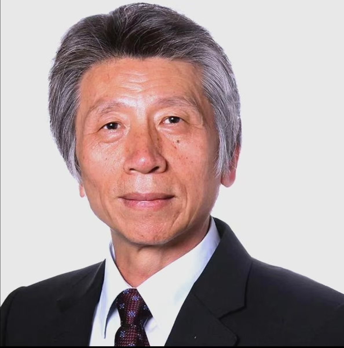 范迪安 书画作品