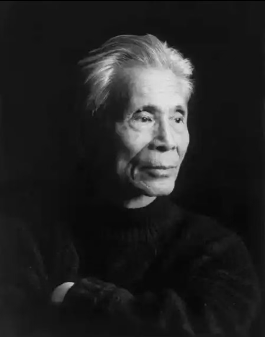 吴冠中 书画作品